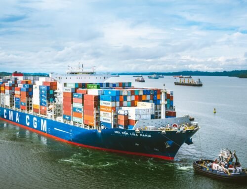 From Local Farms to Global Tables: The Rudra Corporation Guide to Vegetable Exports